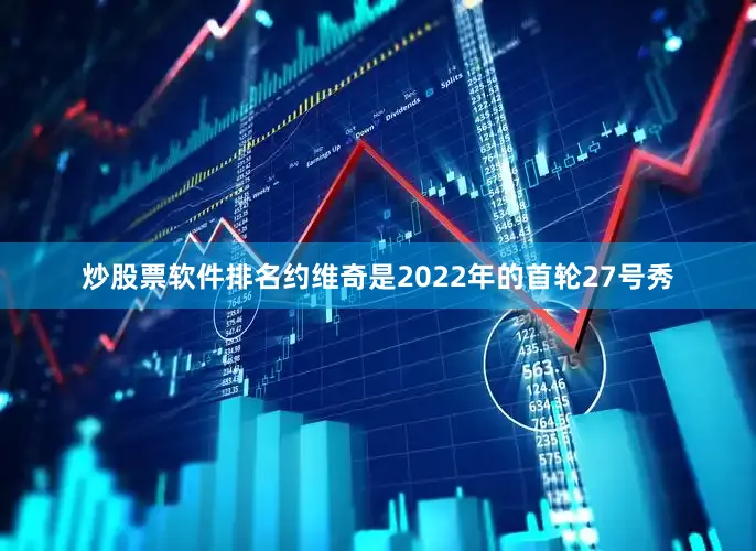 炒股票软件排名　　约维奇是2022年的首轮27号秀
