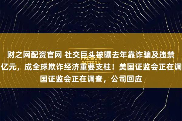 财之网配资官网 社交巨头被曝去年靠诈骗及违禁广告收入上千亿元,成全球欺诈经济重要支柱!美国证监会正在调查,公司回应