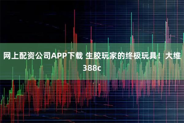 网上配资公司APP下载 生胶玩家的终极玩具！大维388c