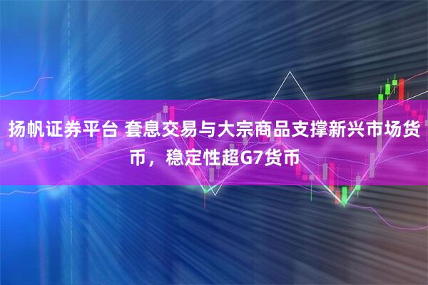 扬帆证券平台 套息交易与大宗商品支撑新兴市场货币，稳定性超G7货币