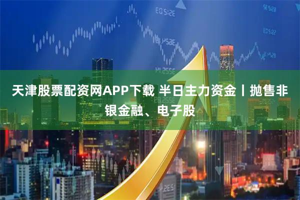 天津股票配资网APP下载 半日主力资金丨抛售非银金融、电子股